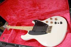 Roland G-202 White Finish