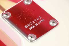 Roland G-202 White Finish