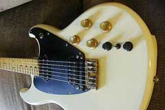 Roland G-202 White Finish