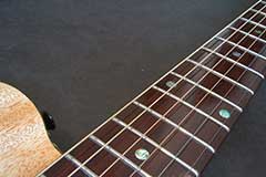 Rare Xotica EA-1 MIDI Roland Ready Acoustic Synth Guitar